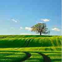 高‍级‌搜‍索‌控‌制﻿台‍系‌统﻿设‍计﻿